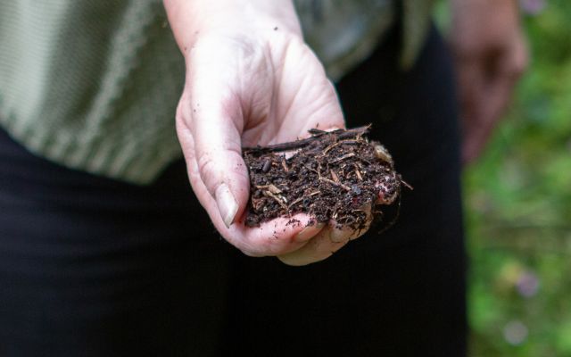 Close up of someone holding compost