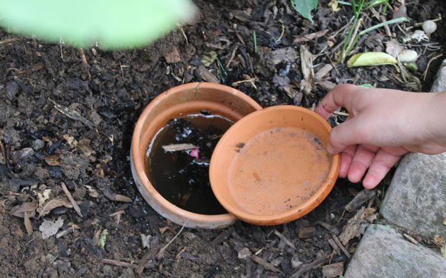 A terracotta pot in the ground filled with water