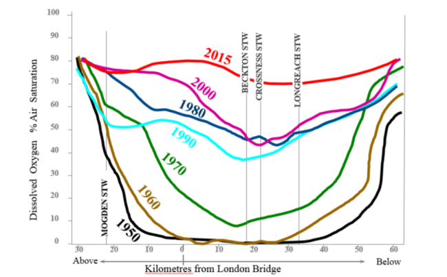 The improvements to oxygen levels in the River Thames